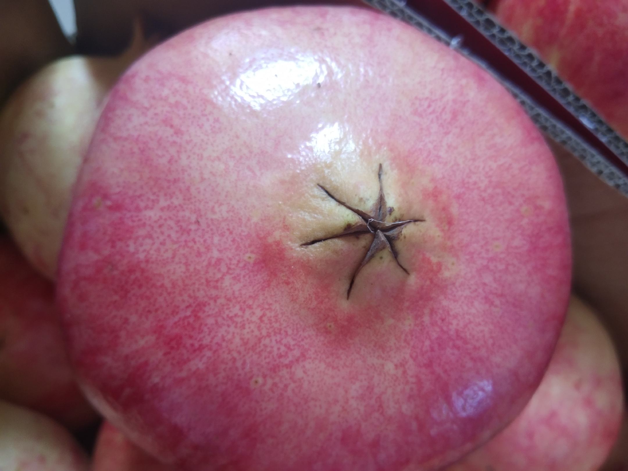 近距离拍摄一个切开一半、另一半完整的成熟石榴,完整部分清晰显示顶部五角星状果萼和深红果皮,切开部分露出晶莹剔透的红色籽粒,展现如何判断石榴是否成熟的内部标准 石榴细节特写图