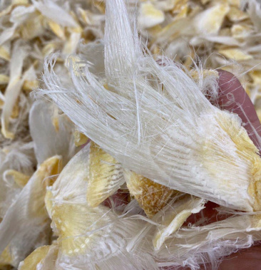 【包邮代发】鱼翅滑沙小鱼翅新鲜滋补海味干货汤料食材味道鲜