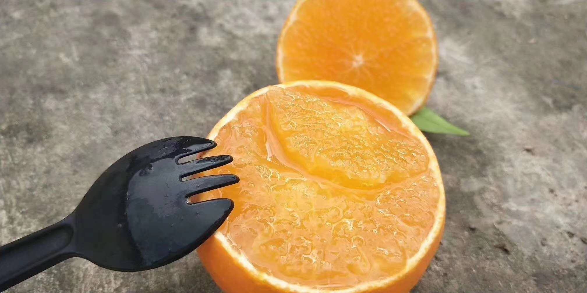 横切的脆皮金桔,显示内部果肉分为6–8瓣,汁囊饱满,果皮薄而均匀,与果肉界限清晰但紧密贴合,呈现晶莹剔透的果汁质感 金桔切面图