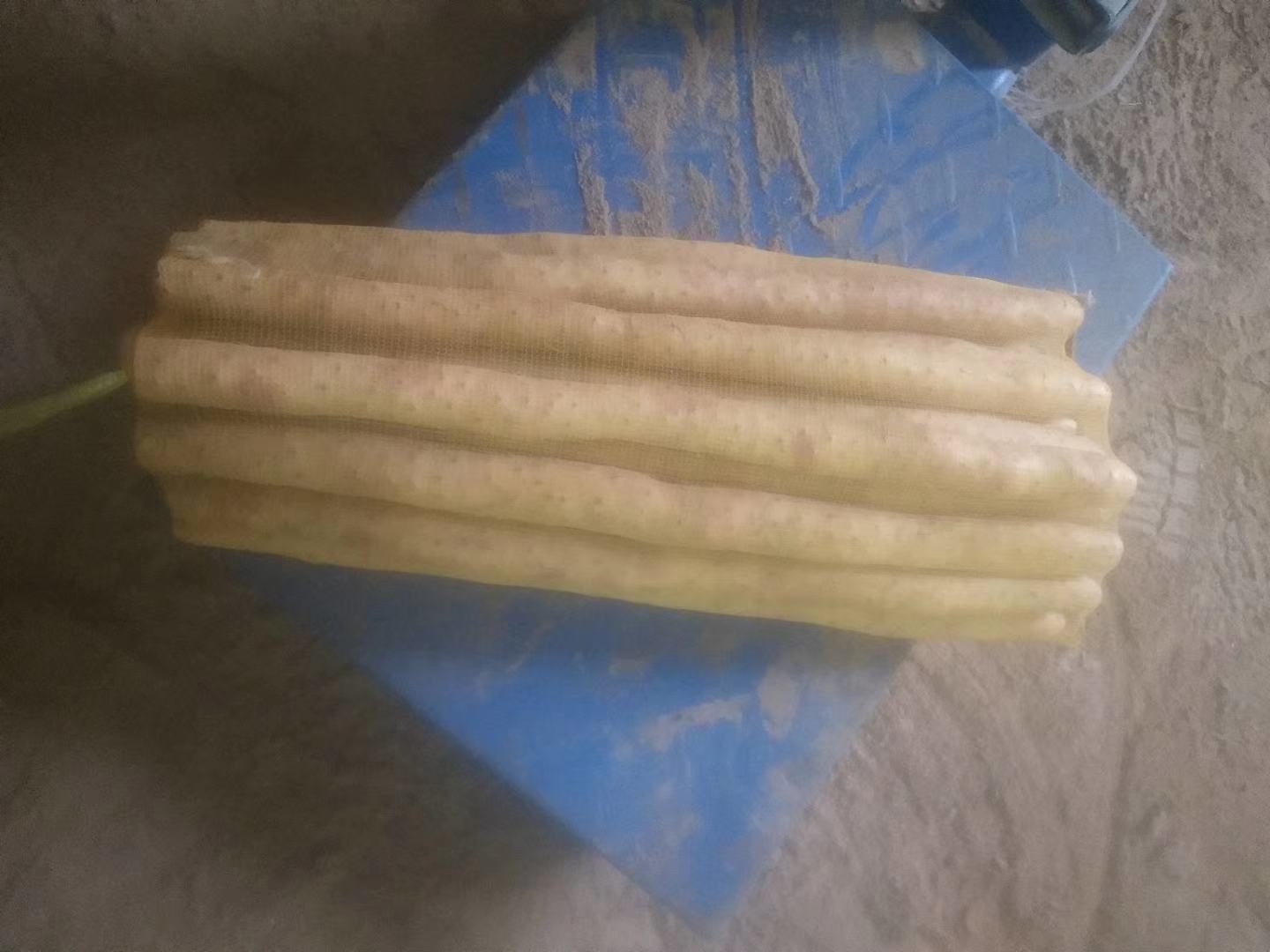 权威检测场景：实验室白大褂人员手持载玻片，在光学显微镜目镜前观察，载玻片上为脆山药黏液+刚果红染色样本，电脑屏幕显示400×放大下的红色网状荧光结构图像