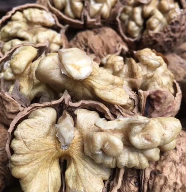 核桃作用功效与作用_核桃分隔木功效_核桃隔木的功效与作用