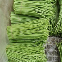 百亩基地芦蒿，散装，代装，品质保证，量大从优，全国可发。