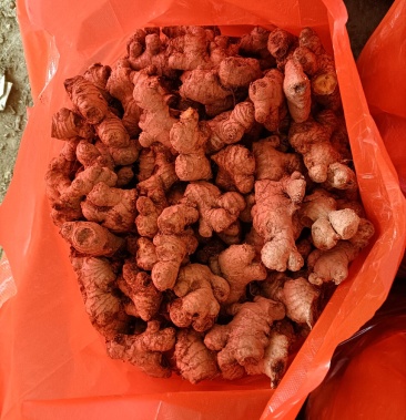 [老姜批发]差母子 老姜头价格6.00元/斤 - 一亩田