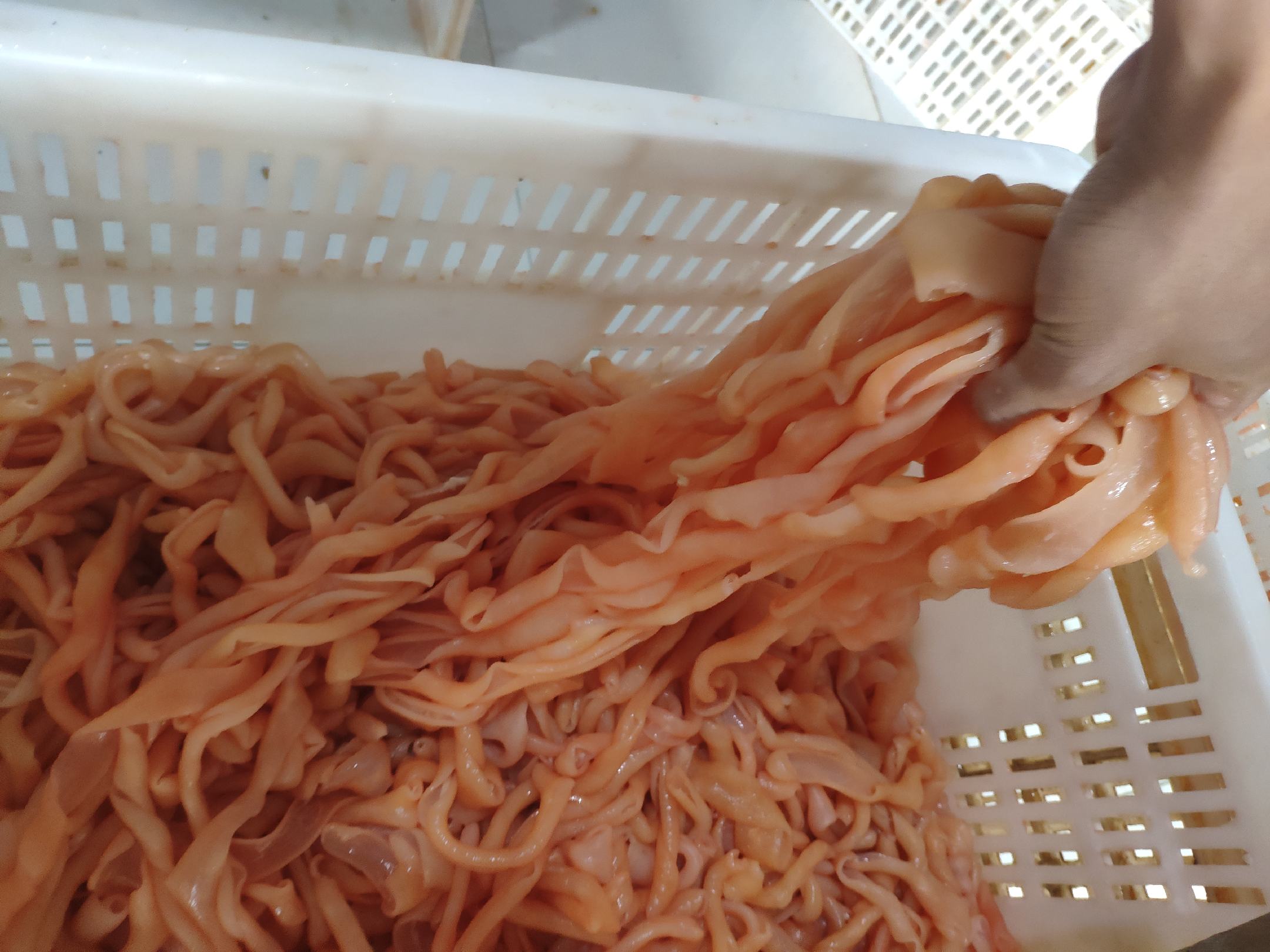 鸭子清洗与焯水操作步骤图,展示鸭子在热水中焯烫的过程 鸭子清洗与焯水过程