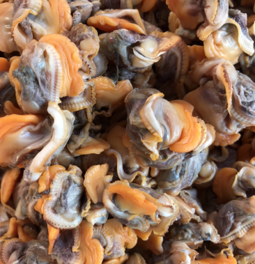 新鲜毛蛤蜊肉 毛蛤蜊肉 毛蚬子肉速冻发货