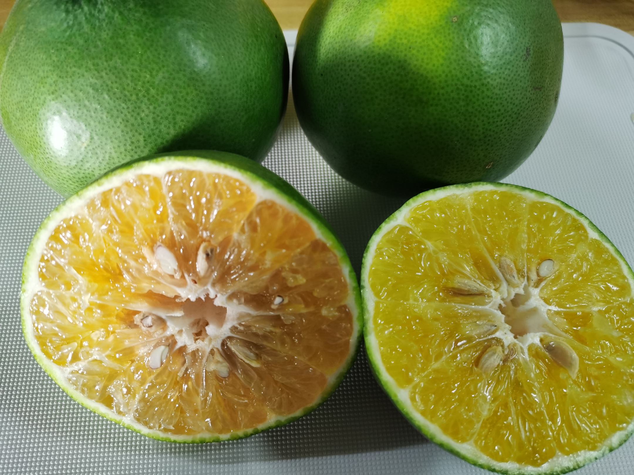 葡萄柚与普通柚子并列对比图