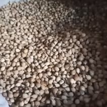 薏米销售诚信为本，望广大好友支持
