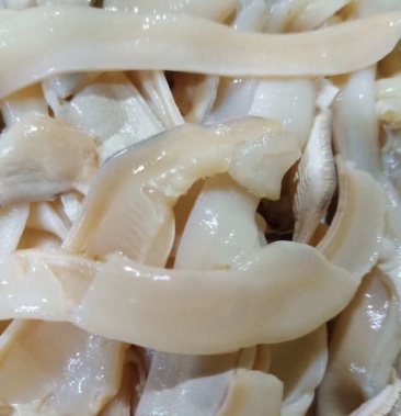 珍珠蚌肉珍珠蚌裙边干净新鲜