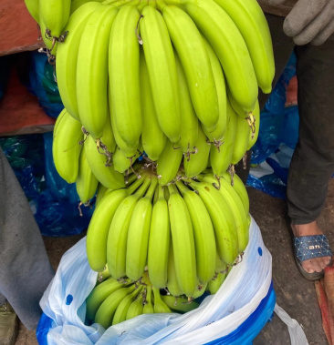 本人手上大量靓货中上货大量香蕉专业装条蕉