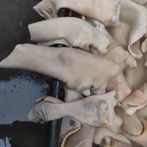 全熟牛蹄皮，可酱香可原味