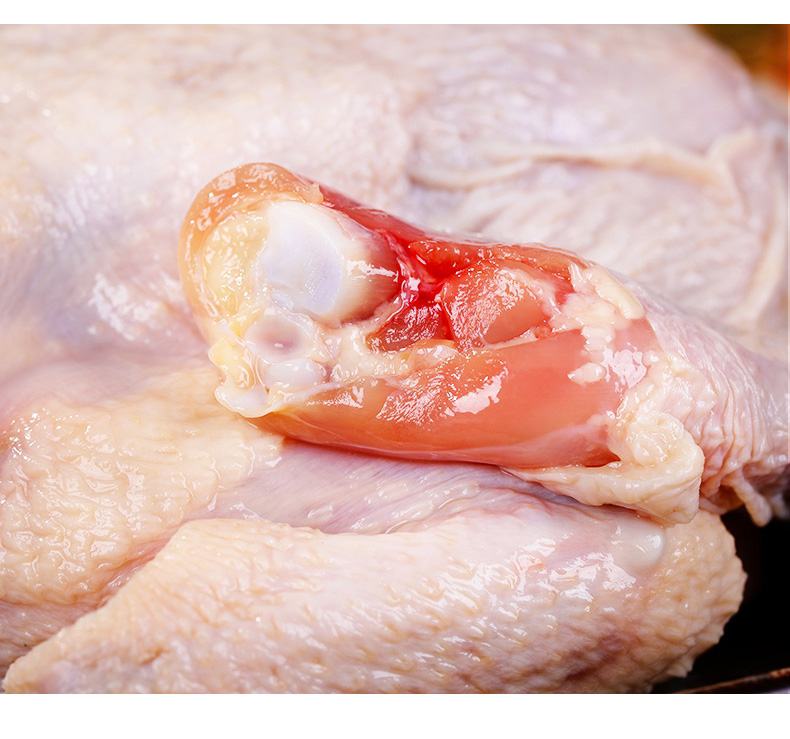 白扁豆炖鸡腿成品图