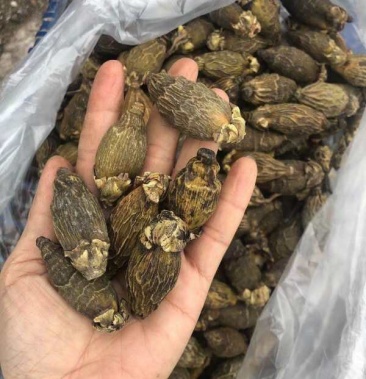 原产越南深加工干槟榔