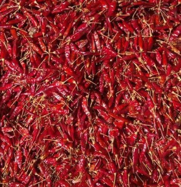 缅甸干辣椒小米椒特辣可视频看货产地直供