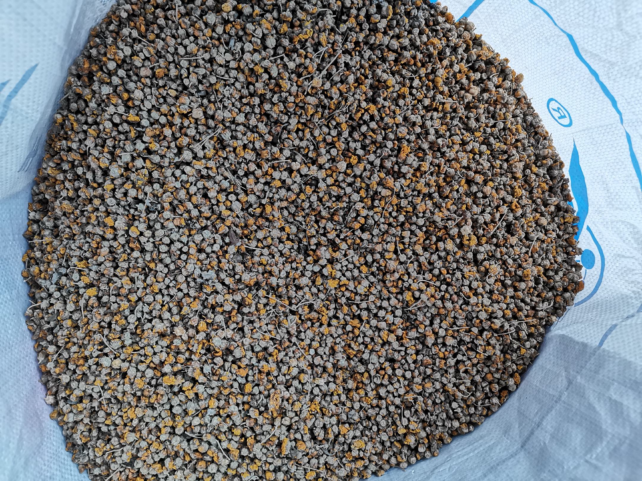 野菊花与其他花茶搭配图