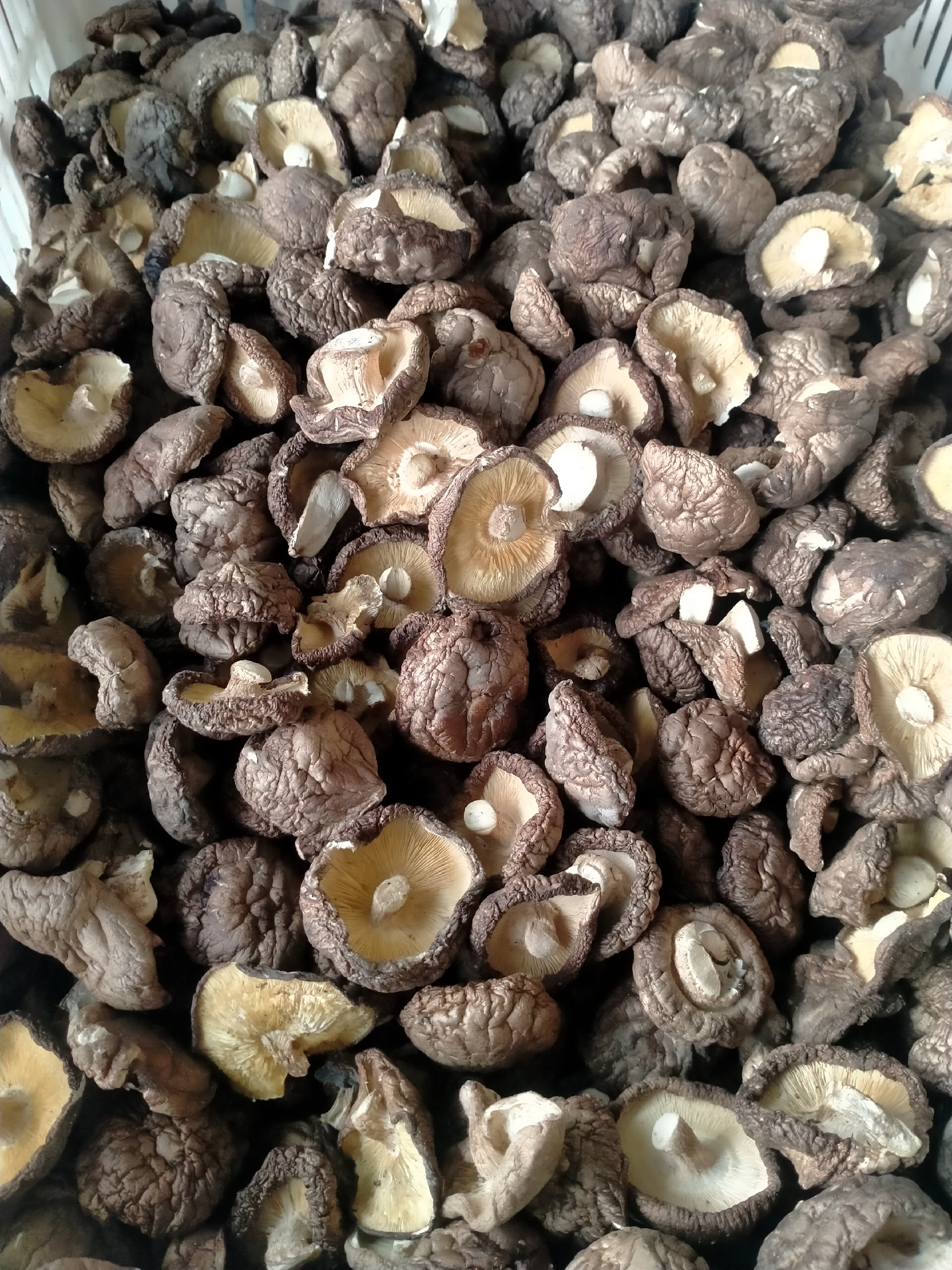 50元/斤 - 一亩田