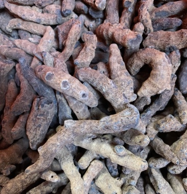 云南野生中药材血三七正品价格优惠 大量批