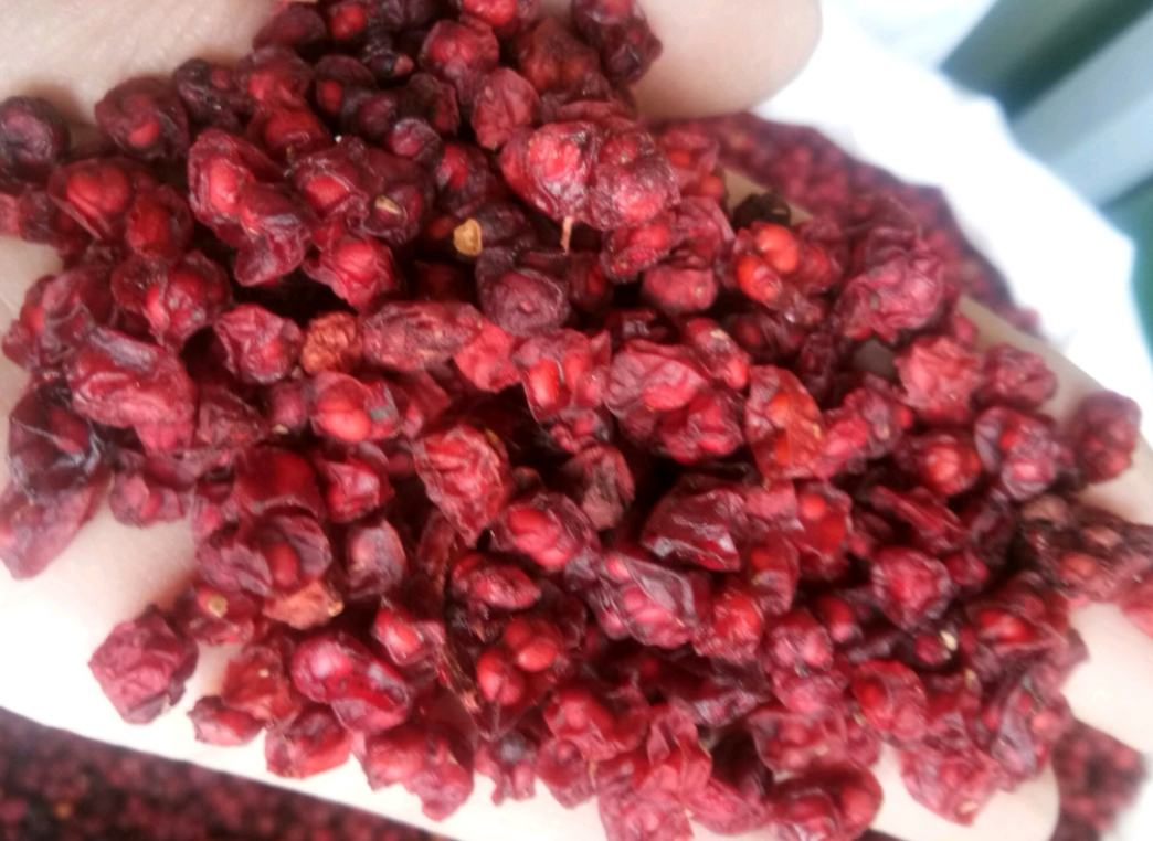 现代化五味子加工车间实景图