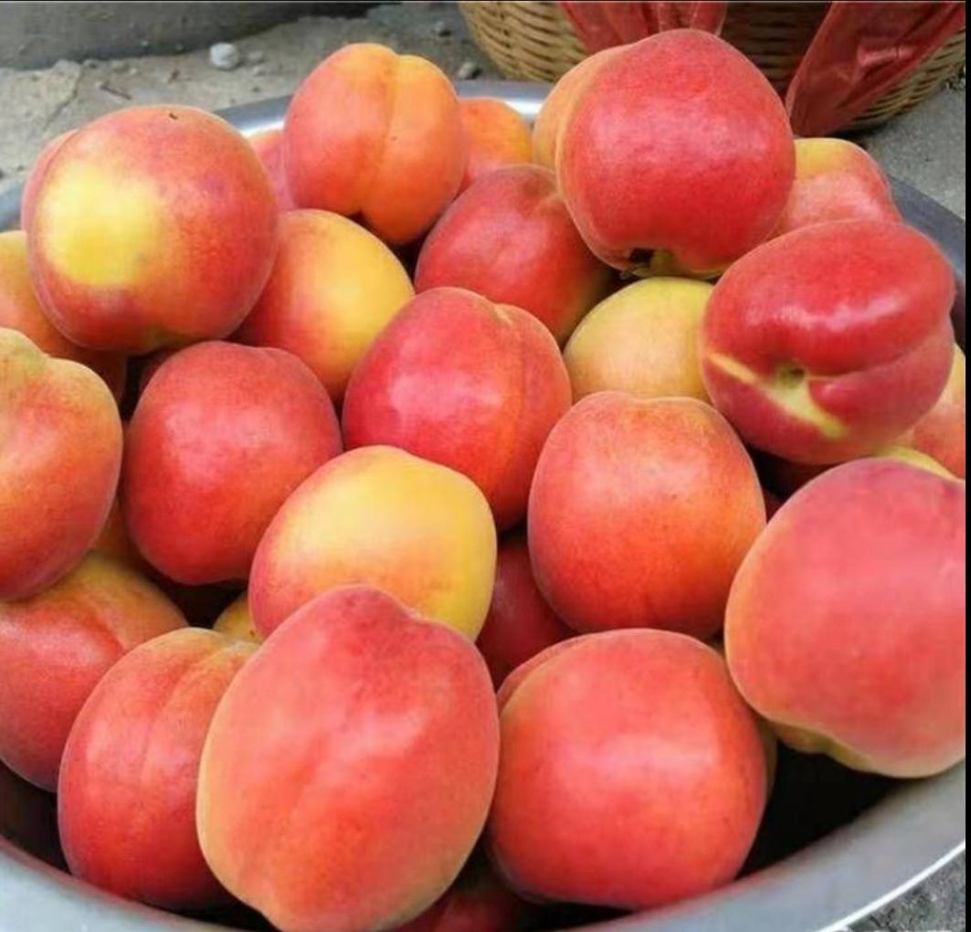 家杏果酱成品图