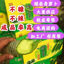 现拔潍县，青萝卜大量供应中欲购从速，产地直销一手货源
