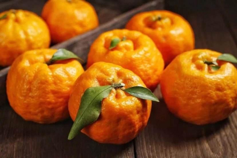 赣南脐橙特写展示底部明显凹陷