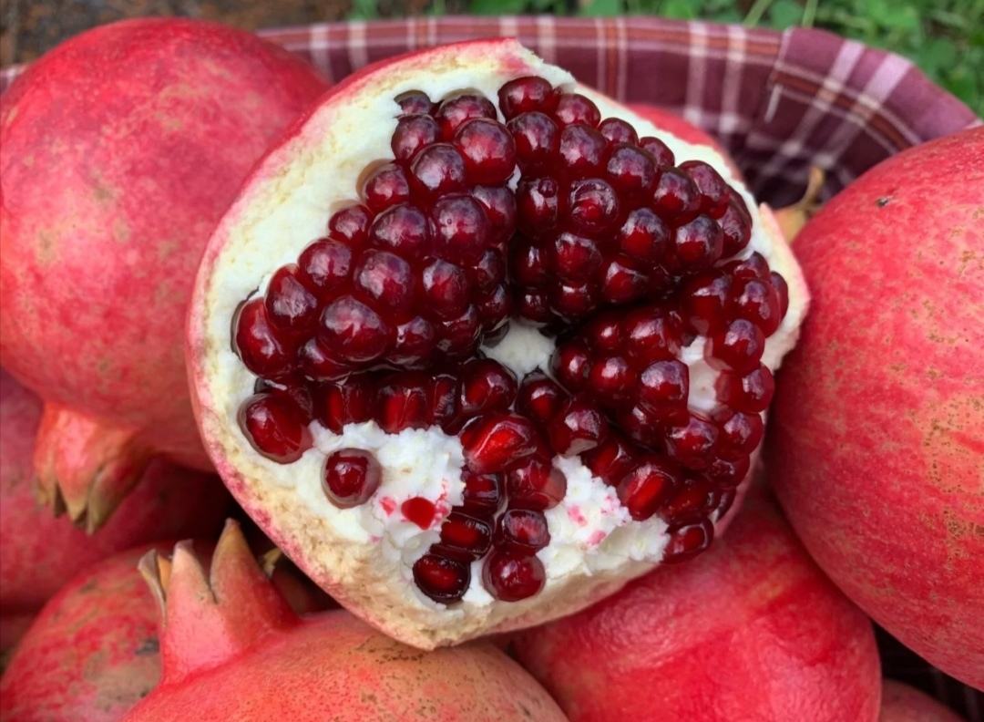 展示一个新鲜的番石榴果实,果皮呈绿色或黄色,切开后露出粉红色果肉 番石榴果实特写