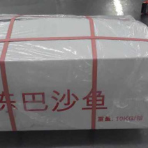 整柜发货，越南巴沙鱼，国产巴沙鱼。