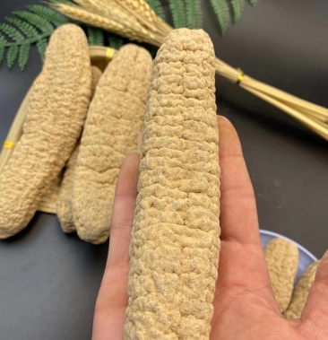 海参澳洲黄玉参黄肉参猪仔黄参淡干刺参胶质柔软弹酒店食材