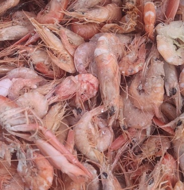 铁皮虾,在虾皮里挑拣出来的,湿的.咸的.味道鲜美