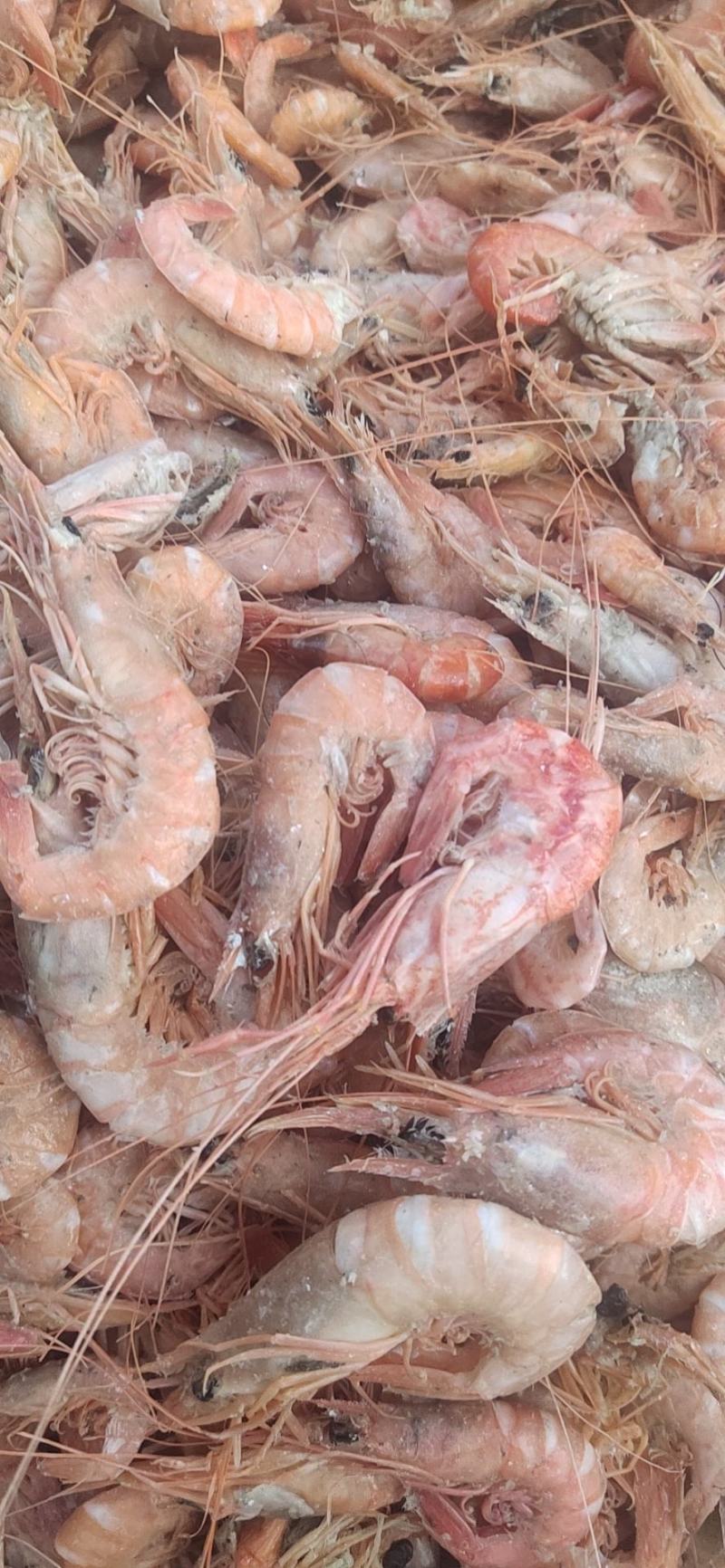 铁皮虾,在虾皮里挑拣出来的,湿的.咸的.味道鲜美