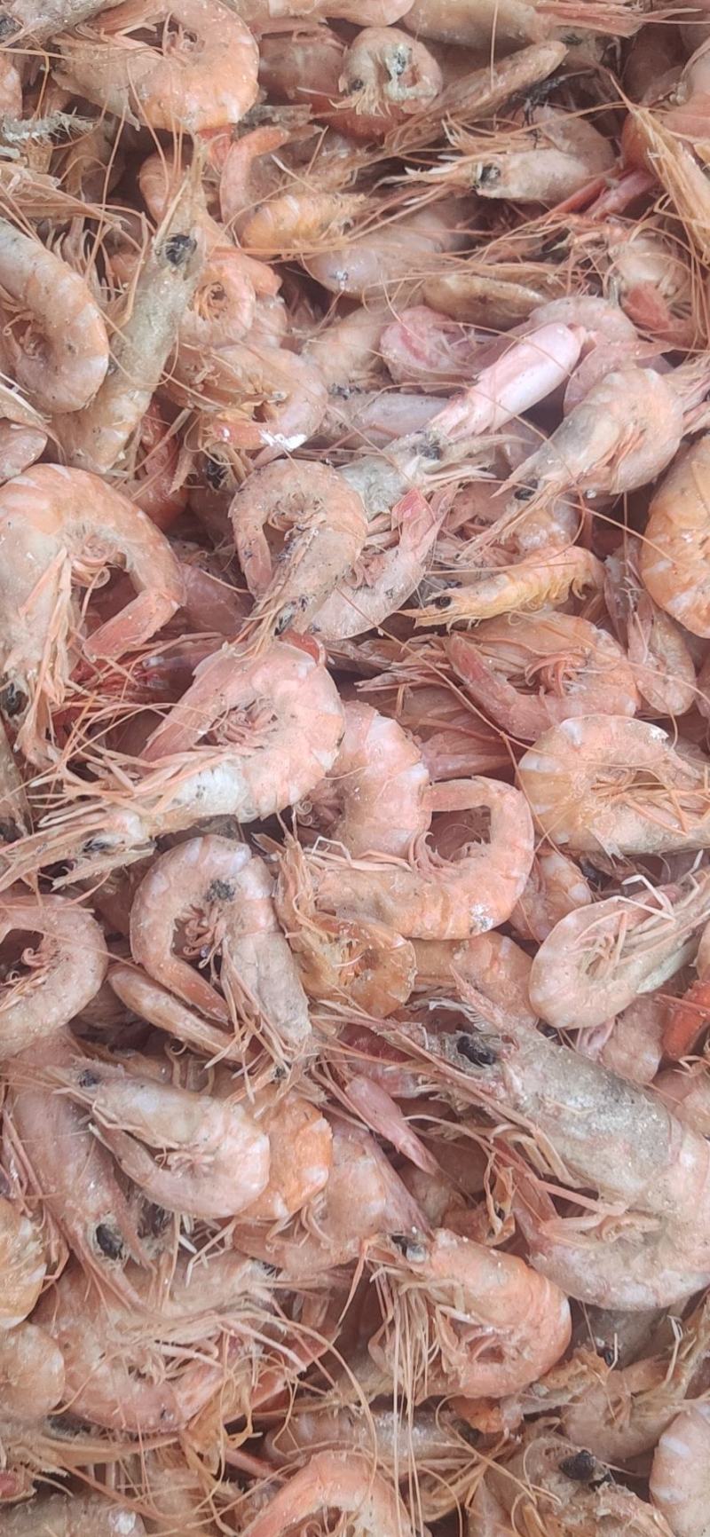 铁皮虾,在虾皮里挑拣出来的,湿的.咸的.味道鲜美