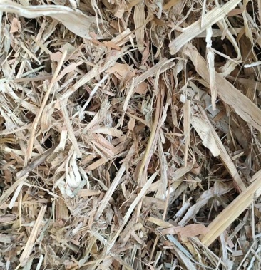 本公司常年出售干玉米秸秆无土无膜无霉变