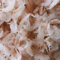 精品淡干无盐虾皮，一手货源，渤海湾渔船打捞，欢迎各地老板