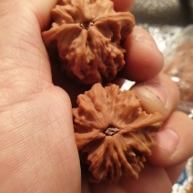 大量批发零售文玩核桃