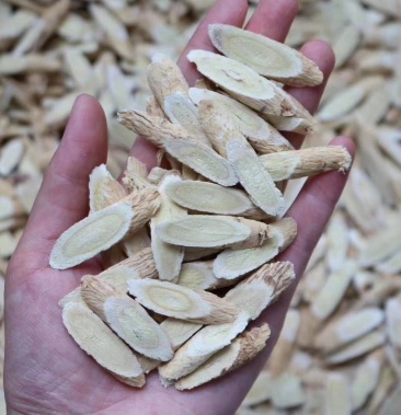 广州人中号黄芪片北芪片中药材味道甘气薄而味浓