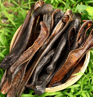 [批发]水蛭蚂蝗野生菲牛蛭干水蛭中药材清水 吊干 矾货越南国产批价格