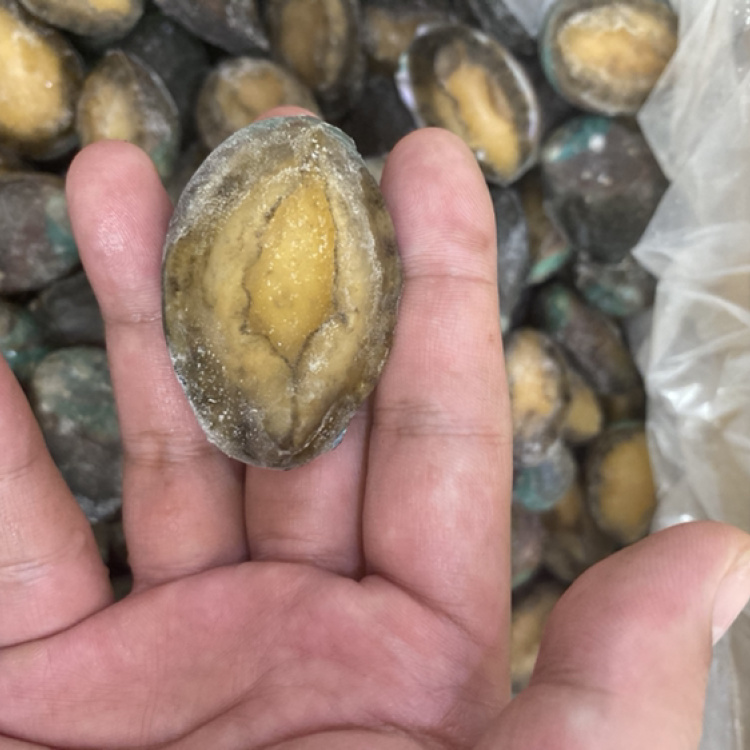 活冻鲍鱼 15头一斤 产地直供 (京东,顺丰包邮)