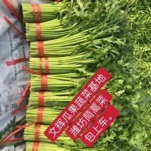 山东潍坊茼蒿菜，处理茼蒿菜，寒亭茼蒿菜。赶集，团购。