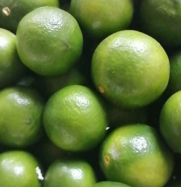 越南优质皮薄汁多小青柠檬