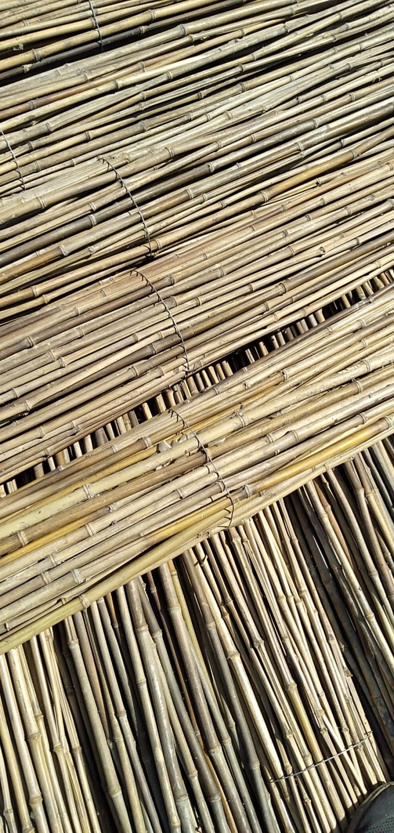 [竹竿批发]湖南怀化鹤城区竹竿 0.36元/个竹子 菜架竹 _ 一亩田