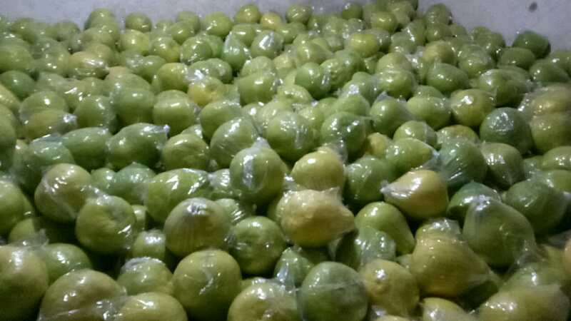 沙田柚苗销售平台展示