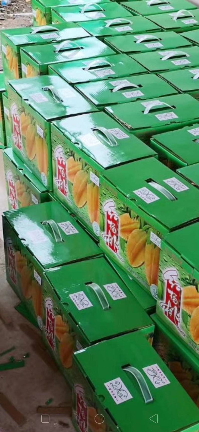 马来西亚红杨桃口感一级棒(量大价格另谈)