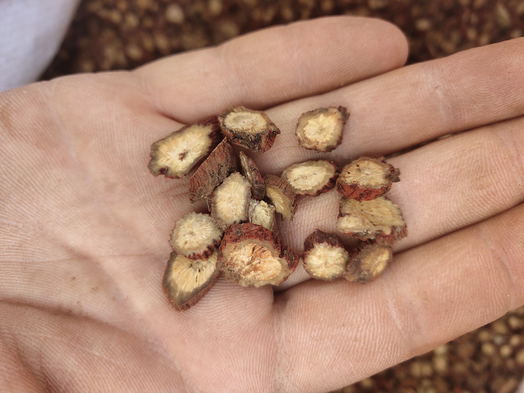 摩罗丹药片与中药草图