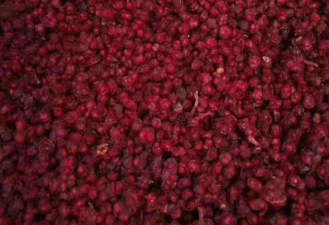 南五味子与北五味子对比图