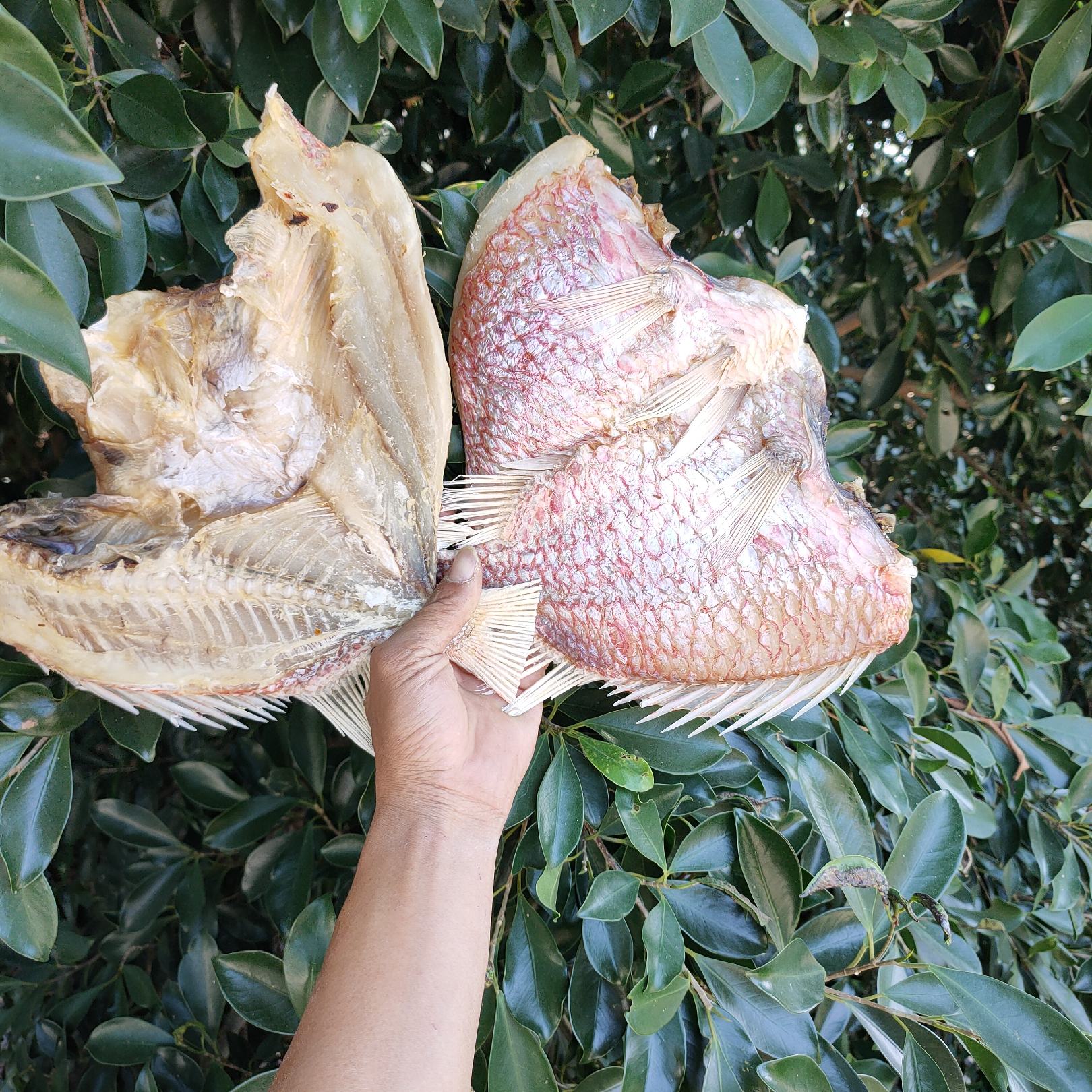 【推荐】深海红丁公鱼 咸鱼干 肉质鲜美 送礼佳品