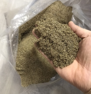 艾草种子艾草种子艾草种子