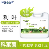 【包邮】利叶叶菜专用黄叶转绿叶肉肥厚叶色油绿