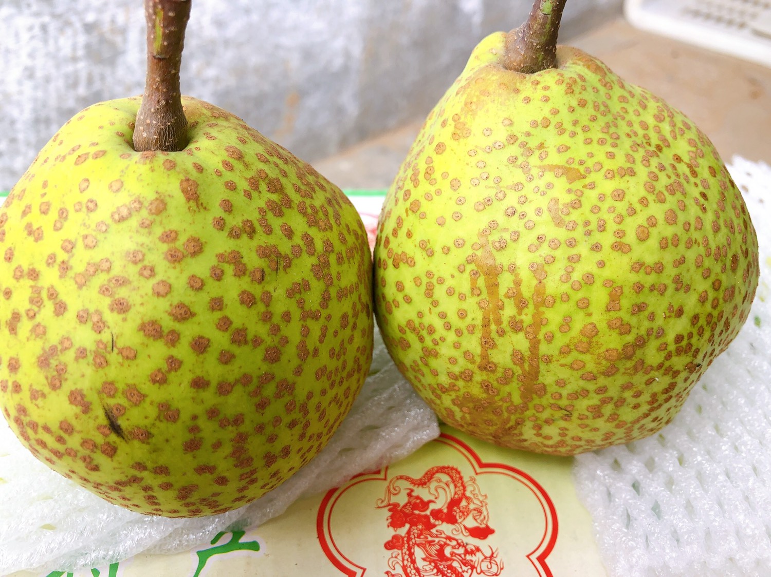砀山梨与莱阳梨对比图