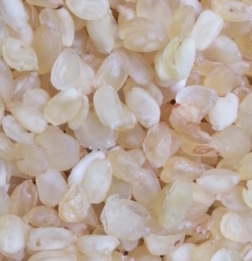 皂角米,贵州手工剥皮,双夹大皂角米雪莲子,无硫无糖无杂质