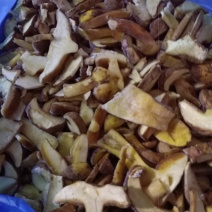 批发各种野生菌(干，鲜，冻)