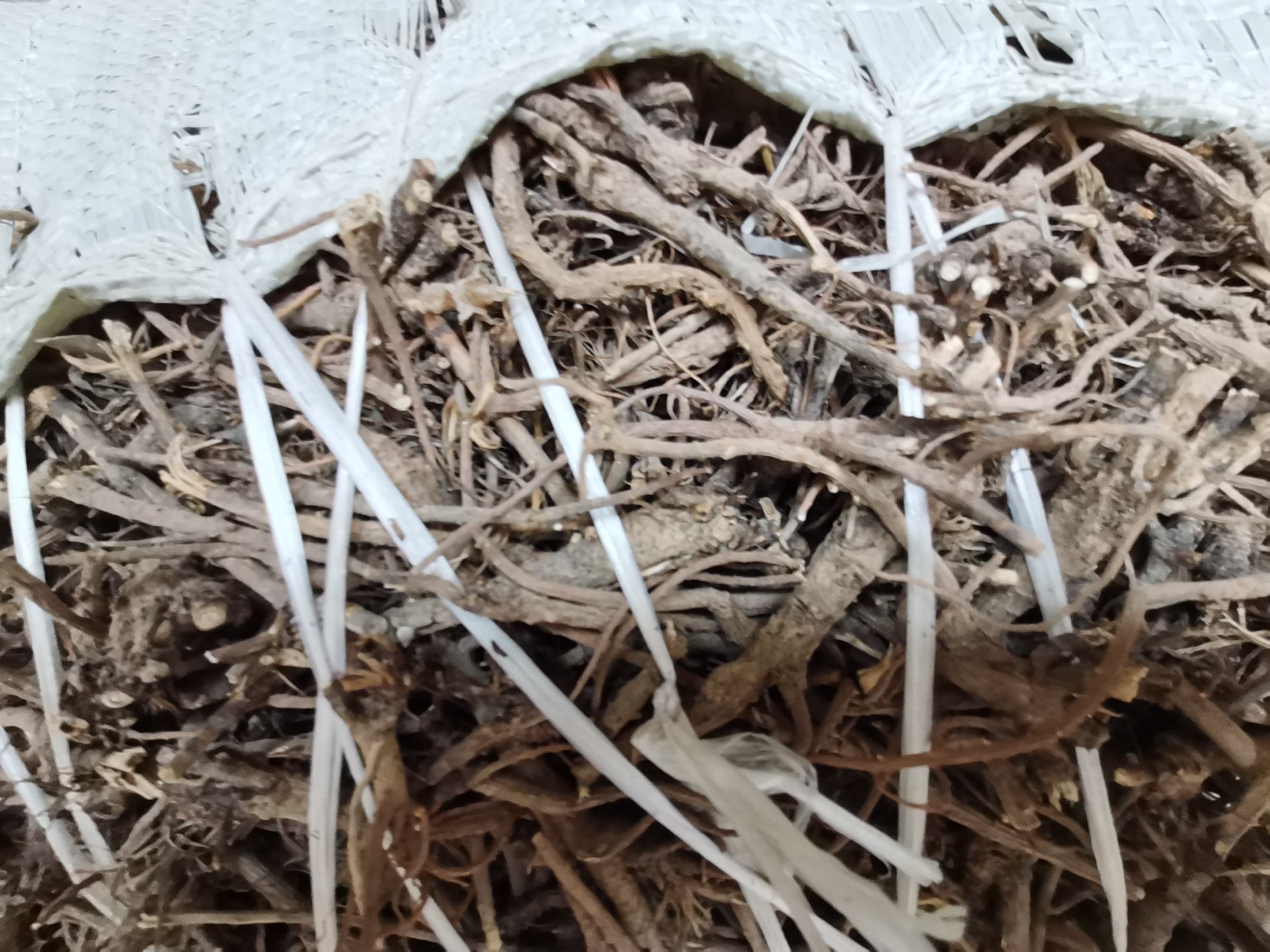 图片说明:展示北柴胡干燥根部药材及其常用中药方剂如小柴胡汤的药方组成 北柴胡药材与中药方剂